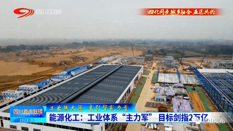 成都防腐剂价格之谜：揭秘防腐剂成本构成